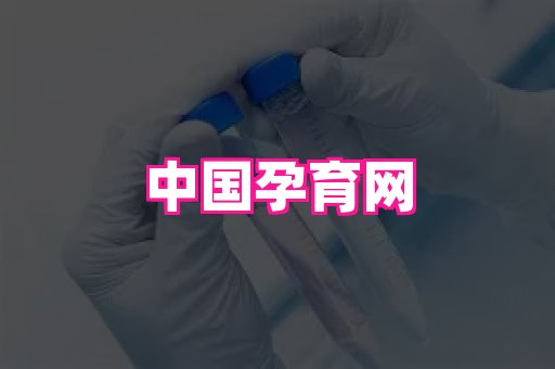 天津助孕网站 3