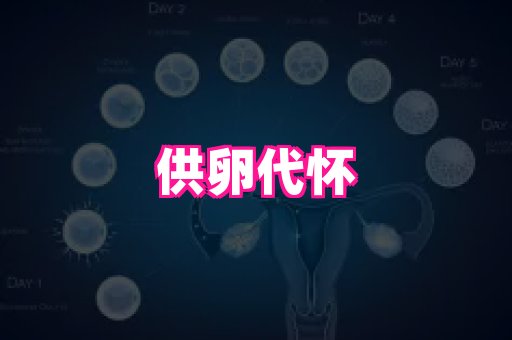 天津助孕网站 4